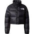 THE NORTH FACE Kurtka zimowa 'Nuptse' czarny / srebrny
