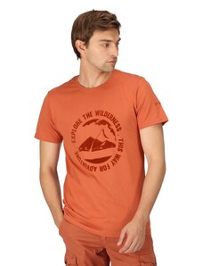 Męska bawełniana koszulka Regatta CLINE VII pomarańczowa