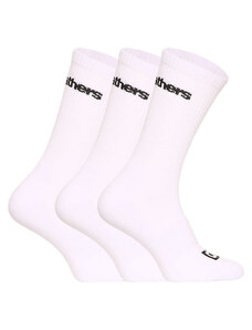 Męskie skarpety Horsefeathers Delete Premium 3-Pack Socks White