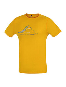 Męskie koszulka Direct Alpine Furry mango (chemia)
