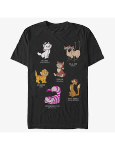 Koszulka męska Merch Disney Classics Mickey & Friends - Cat Breeds Unisex T-Shirt Black