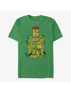 Koszulka męska Merch Nickelodeon Teenage Mutant Ninja Turtles - Ninja Birthday 16 Unisex T-Shirt Retro Heather Green