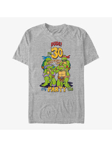 Koszulka męska Merch Nickelodeon Teenage Mutant Ninja Turtles - Ninja Birthday 30 Unisex T-Shirt Heather Grey