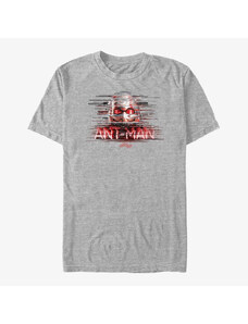Koszulka męska Merch Marvel Ant-Man & The Wasp: Movie - Antman Distorted Unisex T-Shirt Heather Grey