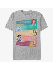 Koszulka męska Merch Disney Princesses - Princess Adjectives Unisex T-Shirt Heather Grey