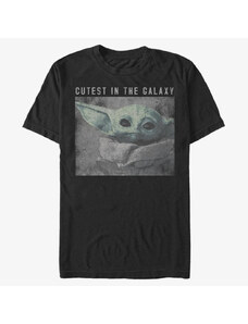 Koszulka męska Merch Star Wars: The Mandalorian - Galaxys Cutest Unisex T-Shirt Black