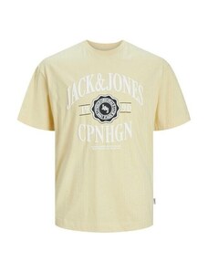 Jack & Jones T-shirty z krótkim rękawem 12251899 JORLUCCA