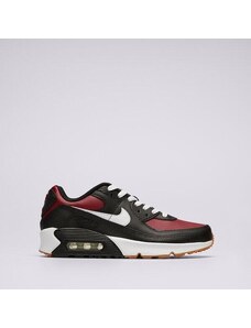 Nike Air Max 90 Ltr Dziecięce Buty Sneakersy CD6864-024 Bordowy
