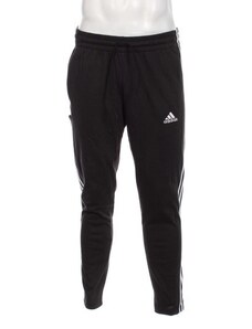 Męskie spodnie sportowe Adidas