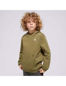Adidas Bluza Z Kapturem Hoodie Boy Dziecięce Odzież Bluzy IP3035 Khaki