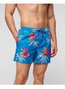 Boardszorty męskie Quiksilver Everyday Mix Volley 15