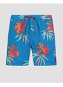 Boardszorty męskie Quiksilver Everyday Mix Volley 15