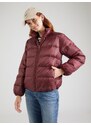 LEVI'S  Kurtka przejściowa 'Willa Down Packable Jacket' burgund
