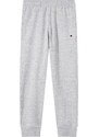 Champion Authentic Athletic Apparel Spodnie szary